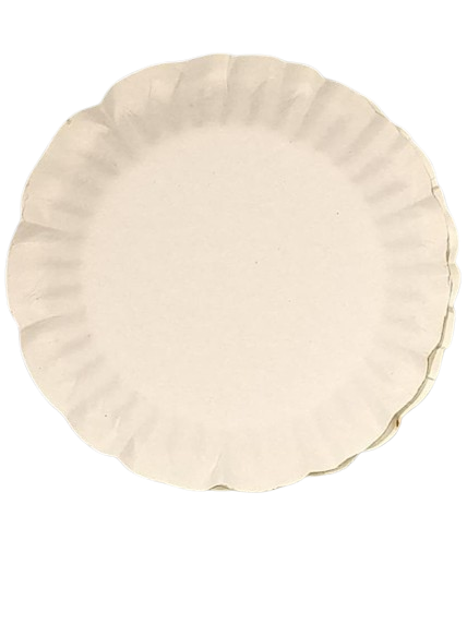 Premium Disposable Paper Plate - Eco-Friendly, Waterproof, Various Sizes